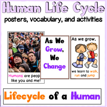 Preview of Human Life Cycle Visuals and Activities for 3K, Pre-K, Preschool & Kindergarten