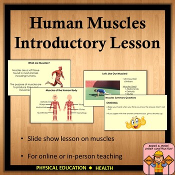 Preview of Human Muscles Introductory Lesson - Slide Show (K-5)