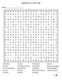 Muscular System Word Search Worksheets & Teaching Resources | TpT