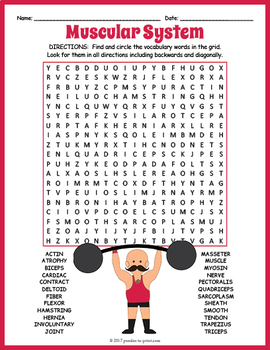 Human Muscular System Word Search Puzzle by Puzzles to Print | TpT