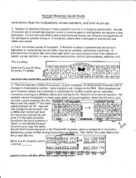 Preview of Human Mutation Quick Study