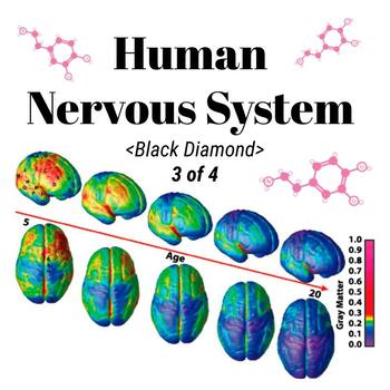 Preview of Human Nervous System - Middle School Science 3of4