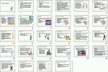 Preview of Human Nervous and Endocrine Smartboard Notebook Presentation Lesson