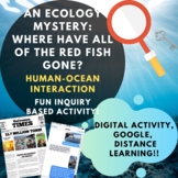 Human Ocean Interaction | Ecology Mystery | Google Activit