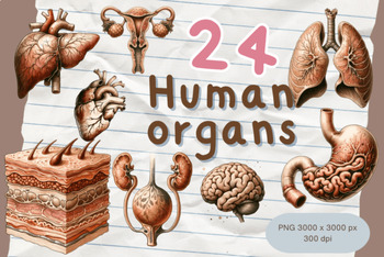 Preview of Human Organ Anatomy Medical Education