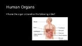 Human Organ Review
