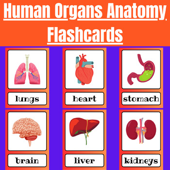 Total Drama World Tour characters Flashcards