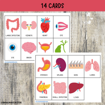 Human Body 3-part Montessori Cards, Printable Anatomy Flashcards for Prek  Preschoolers Toddlers, Homeschooling, Home-based Learning 