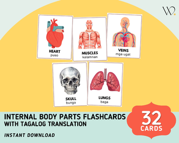 Preview of Human Organs Flashcards (32 Cards) w/ Filipino Translation