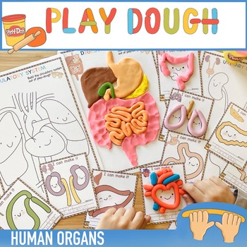 Preview of Human Organs Play Dough Mats / Body Play Doh Fine Motor Playdough Mats