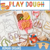 Human Organs Play Dough Mats / Body Play Doh Fine Motor Pl