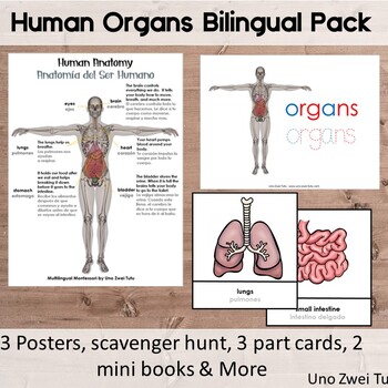 Preview of Human Organs Printable Pack Bilingual - Montessori Human Anatomy