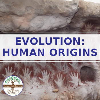 Preview of Evolution: Human Origins - Science Worksheet Printable or Google