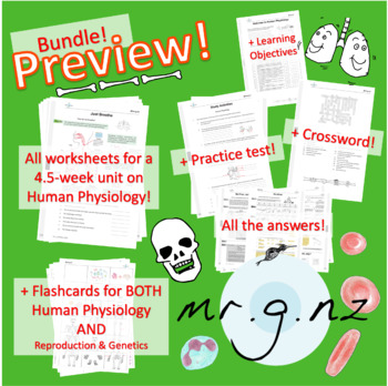 Preview of Human Physiology Bundle: Notes + Worksheets + Answers + More for a 4.5-week Unit