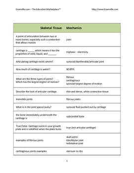 Preview of Human Physiology Quick Study Review Notes and Outline (Mega Pack)