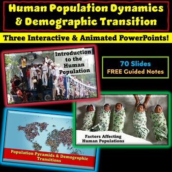 Preview of Human Population & Demographic Transition, 3 PowerPoints for AP Environmental
