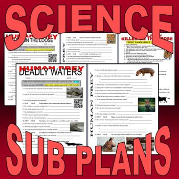 Human Prey - 6 Animal Video Sheets Bundle (Free Videos / Sub Plans /  Science)