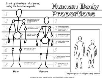 Proportion of the Human Body - Video Lesson by Drawing Academy