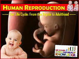 Human Reproduction: Animated PowerPoint