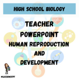Human Reproduction & Development Teacher Powerpoint
