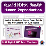 Human Reproduction: Guided Notes and PowerPoint BUNDLE