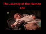 Human Reproduction : Journey of Life (TOTALLY ANIMATED)