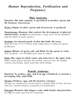 Preview of Human Reproduction Notes and/or overhead