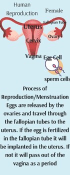 Preview of Human Reproduction Posters