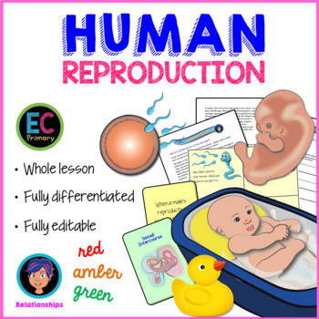 Preview of Human Reproduction - Sexual Intercourse + Genitalia