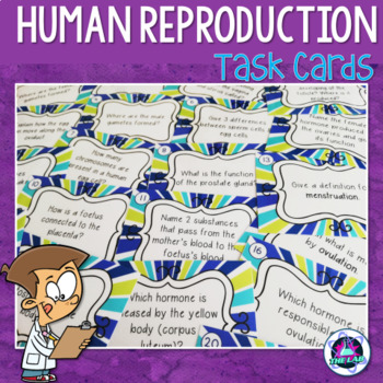 Preview of Human Reproduction Task Cards