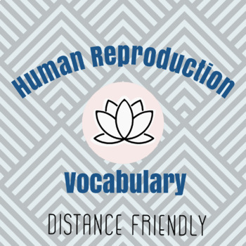 Preview of Human Reproduction Vocab