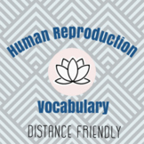 Human Reproduction Vocab
