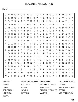 Human Reproduction Word Search! by Salamander Ed | TpT