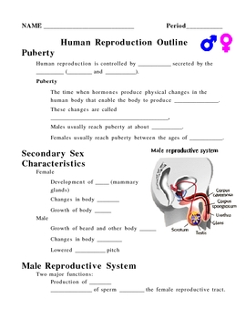 Preview of Human Reproduction and Development Notes Outline Lesson Plan