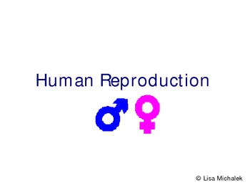 Preview of Human Reproduction and Development PowerPoint Presentation Lesson Plan