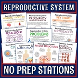 Middle School Human Reproductive System Activity Stations 