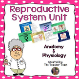 Reproductive System Unit  | Anatomy and Physiology