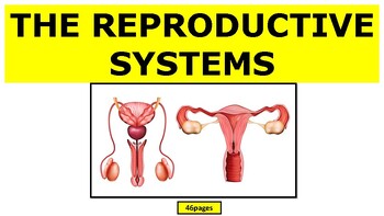 Preview of Human Reproductive System pdf