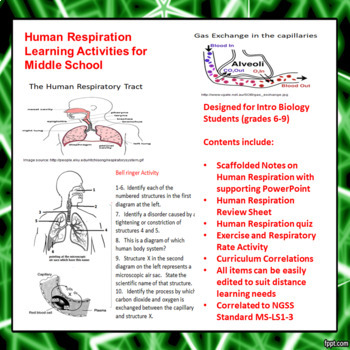 Preview of Human Respiration Learning Activities for Middle School