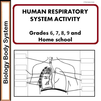 human respiratory system activity worksheet free science biology