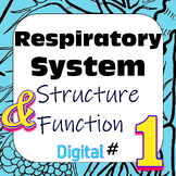 Human Respiratory System Structure & Function #1 Digital I