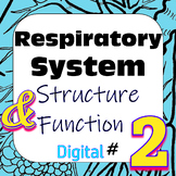 Human Respiratory System Structure & Function #2 Digital I