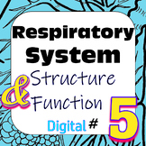 Human Respiratory System Structure & Function #5 Digital I
