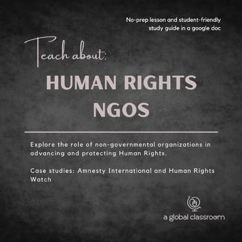 Preview of Human Rights NGOs - IB Global Politics