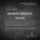 Human Rights NGOs - IB Global Politics