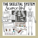 Bones, Joints, & the Skeletal System - Build a Skeleton & More!
