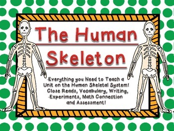 Preview of Human Skeleton Skeletal System Complete Unit Close Read Vocab Experiments & Math