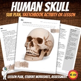 Human Skull Drawing Worksheet Packet Art Sub Plan, Middle 