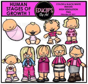 Preview of Human Stages Of Growth 1 - Caucasian Female {Educlips Clipart}