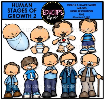 Preview of Human Stages Of Growth 2 - Caucasian Male {Educlips Clipart}